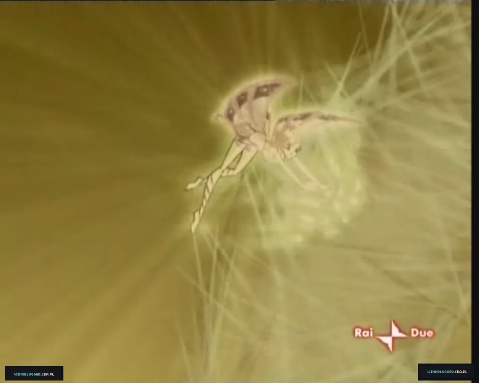 __287829~4.jpg