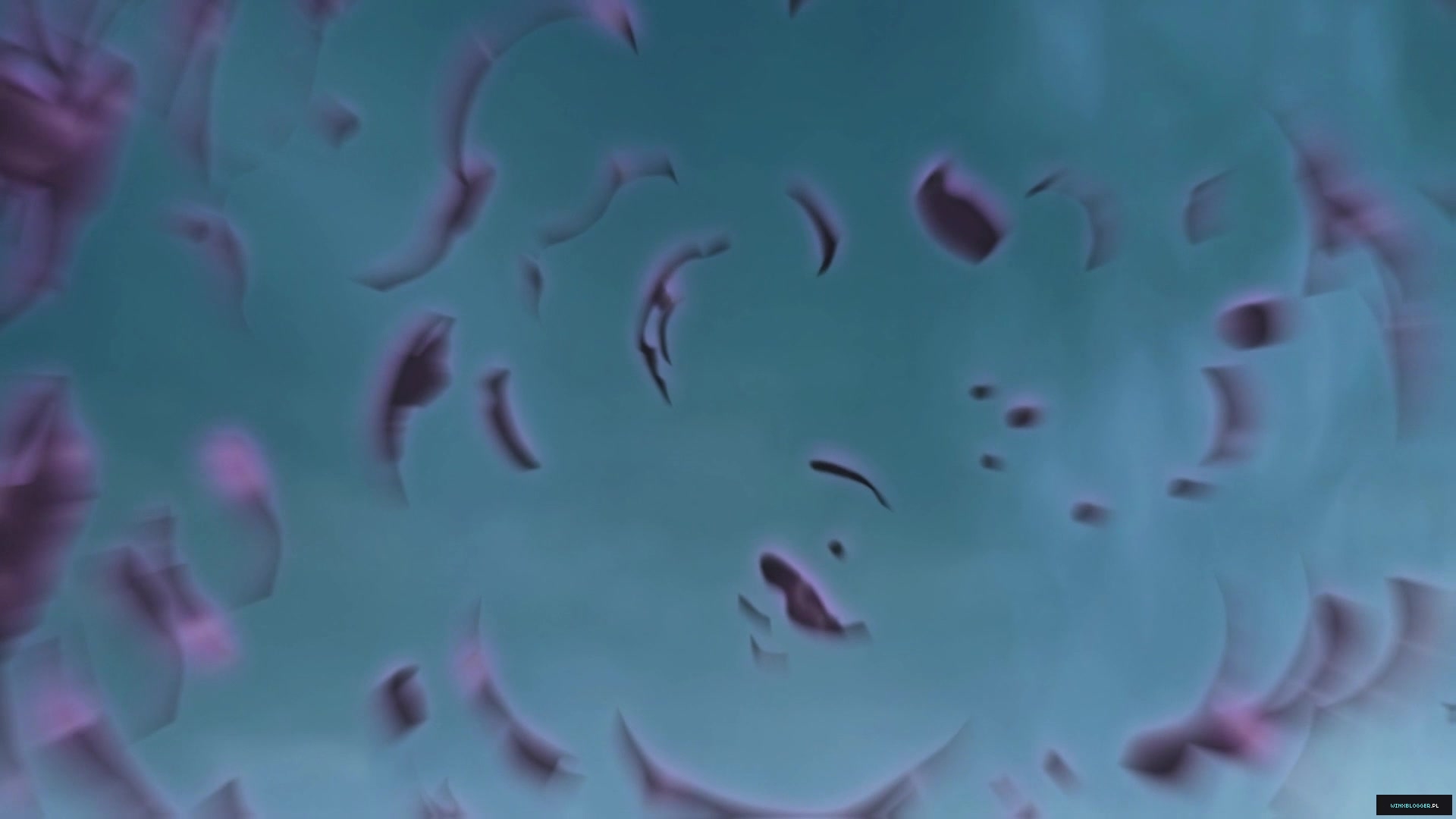 __2816629~72.jpg