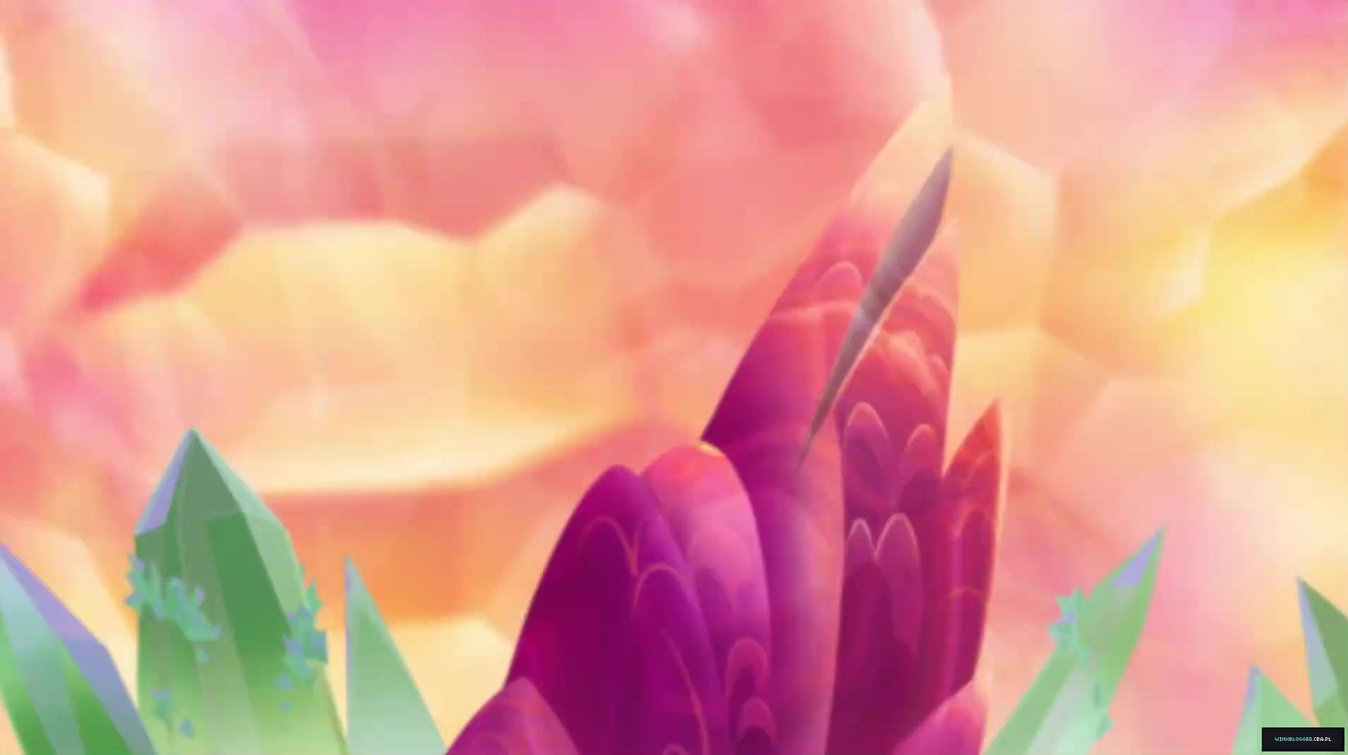 __2826029~15.jpg