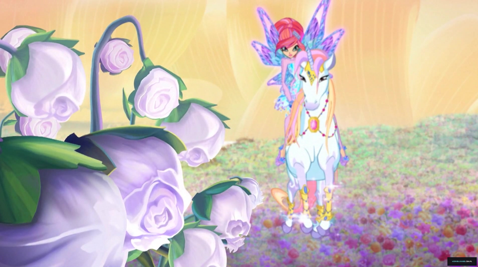 __2843029~25.jpg