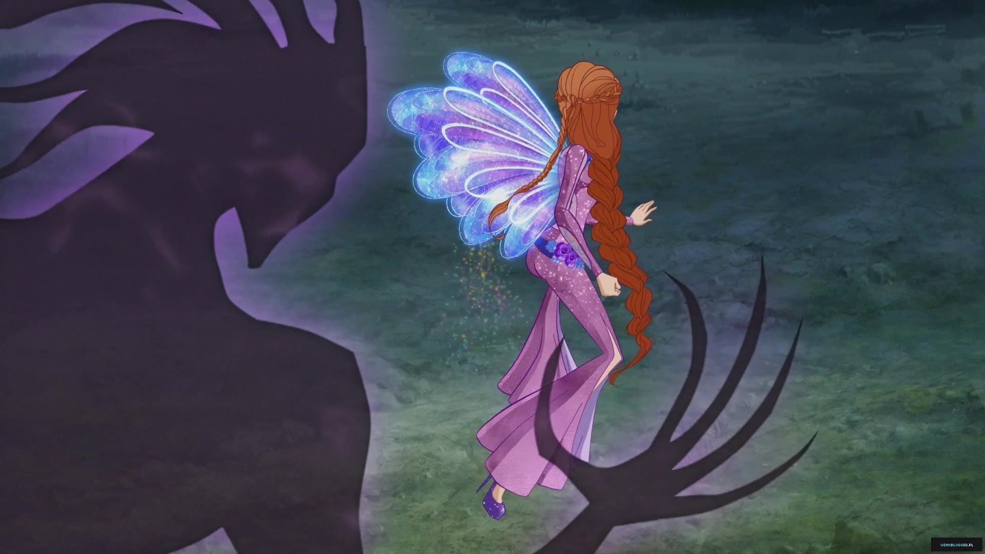 __2843029~55.jpg