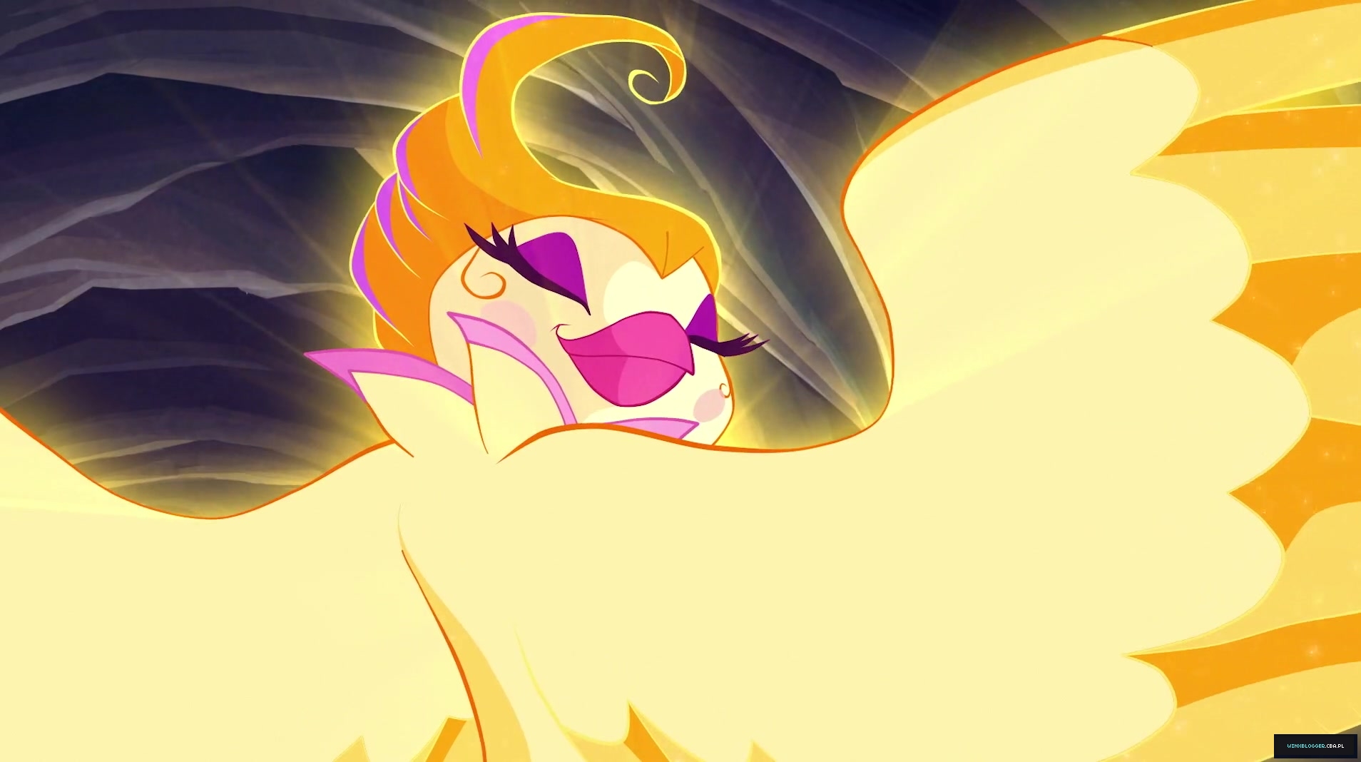 __2846829~13.jpg