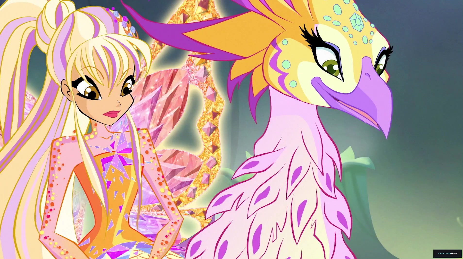 __2862029~12.jpg