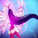 Filename=2825929~9.jpg
Filesize=588KiB
Dimensions=1434x1072
Date added=Dec 20, 2013 2825929~9.jpg