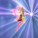 Filename=__281529~50.jpg
Filesize=145KiB
Dimensions=768x576
Date added=Dec 18, 2015 __281529~50.jpg