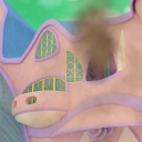 __2823829~68.jpg