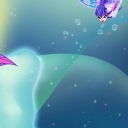 Filename=__2830729~34.jpg
Filesize=367KiB
Dimensions=1908x1068
Date added=Dec 11, 2015 __2830729~34.jpg
