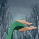 __2837329~54.jpg