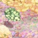 Filename=__2841829~26.jpg
Filesize=840KiB
Dimensions=1908x1068
Date added=Dec 10, 2015 __2841829~26.jpg