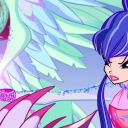 Filename=__2848529~27.jpg
Filesize=867KiB
Dimensions=1908x1068
Date added=Dec 16, 2015 __2848529~27.jpg