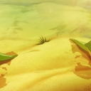 Filename=__287429~35.jpg
Filesize=508KiB
Dimensions=1908x1068
Date added=Dec 11, 2015 __287429~35.jpg