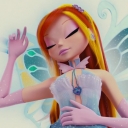 __2897529~0.jpg