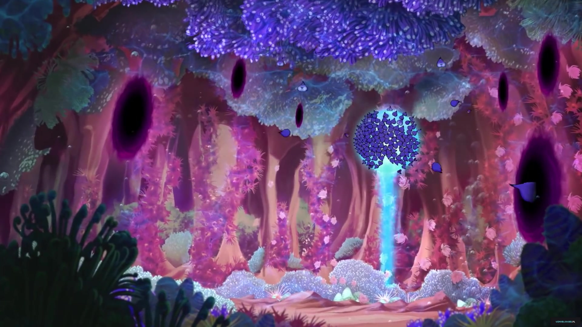 28c29wb_pl2816429~5.jpg