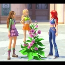 Filename=144_28winxblogger_pl29~0.jpg
Filesize=798KiB
Dimensions=1920x1080
Date added=Nov 11, 2025 144_28winxblogger_pl29~0.jpg