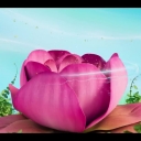 Filename=winxblogger_pl28015929.jpg
Filesize=480KiB
Dimensions=1920x1080
Date added=Nov 22, 2025 winxblogger_pl28015929.jpg