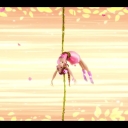 Filename=winxblogger_pl28022629.jpg
Filesize=465KiB
Dimensions=1920x1080
Date added=Nov 22, 2025 winxblogger_pl28022629.jpg
