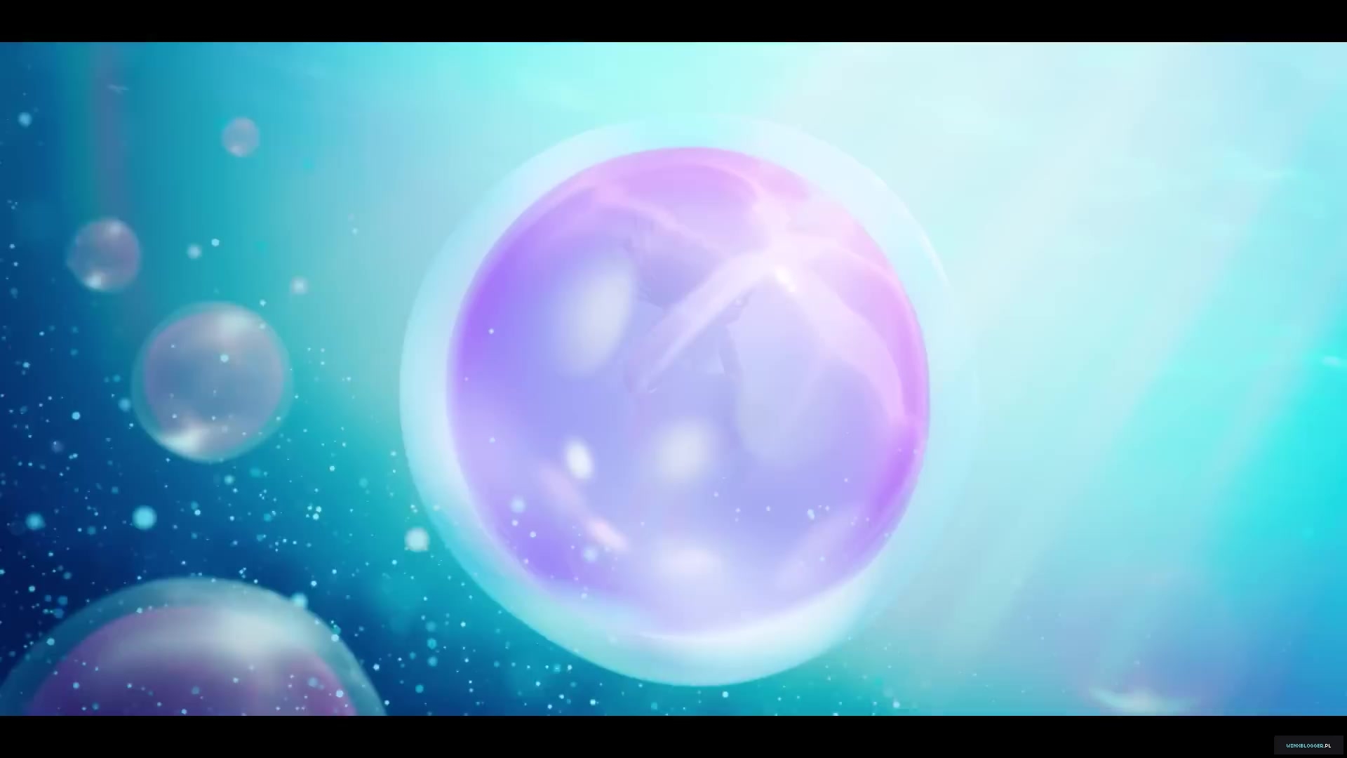 winxblogger_pl2800129.jpg