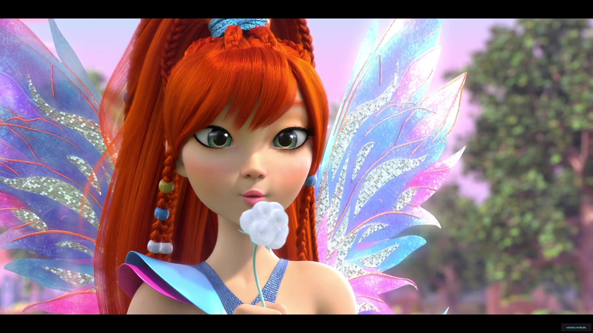 winxblogger_pl28010929~3.jpg