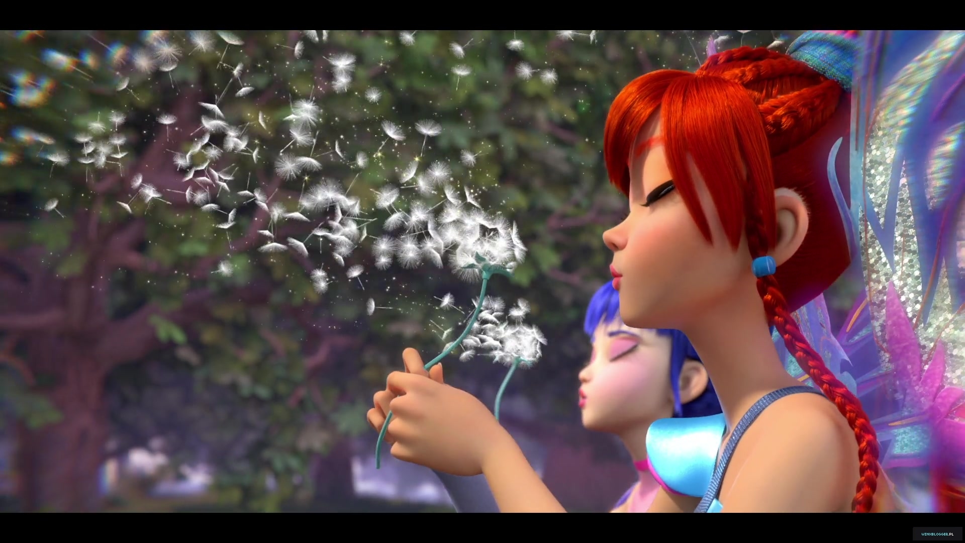 winxblogger_pl28011429~3.jpg