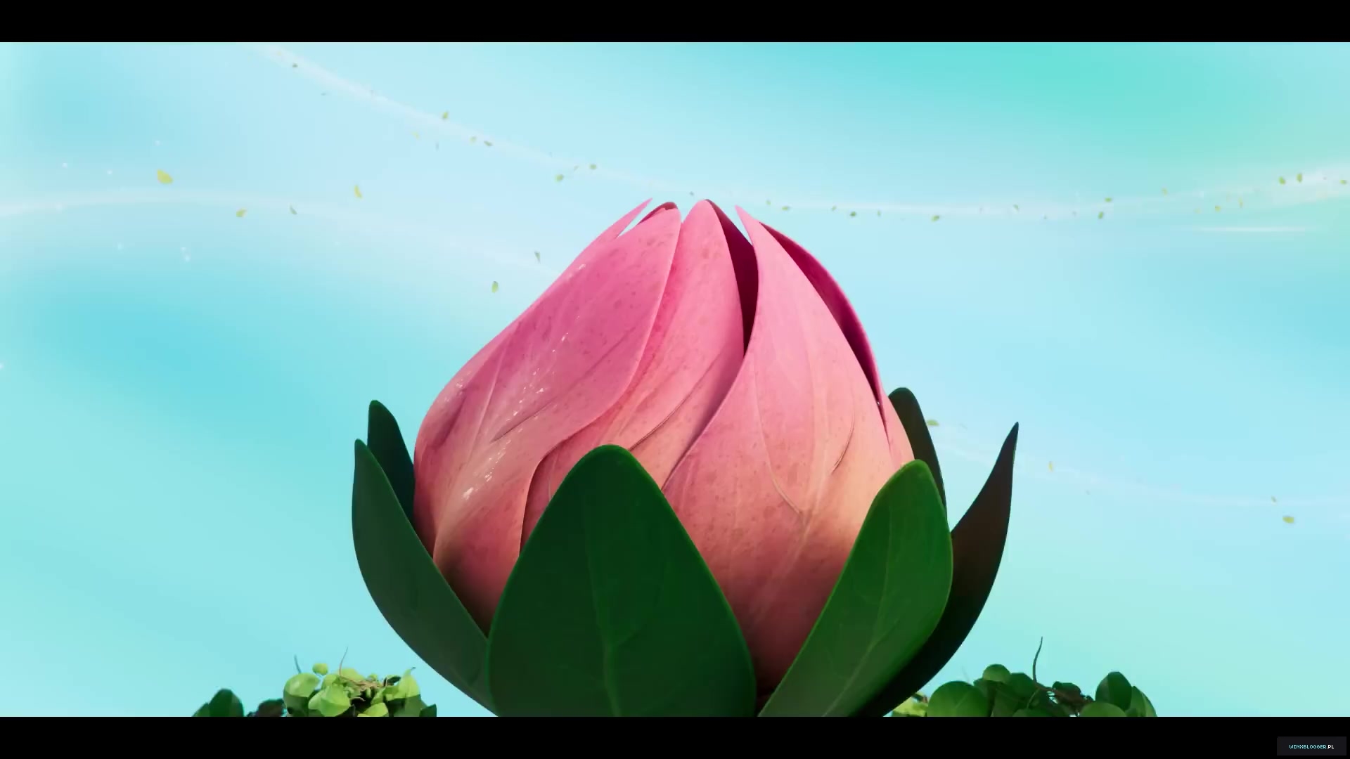 winxblogger_pl28015829.jpg