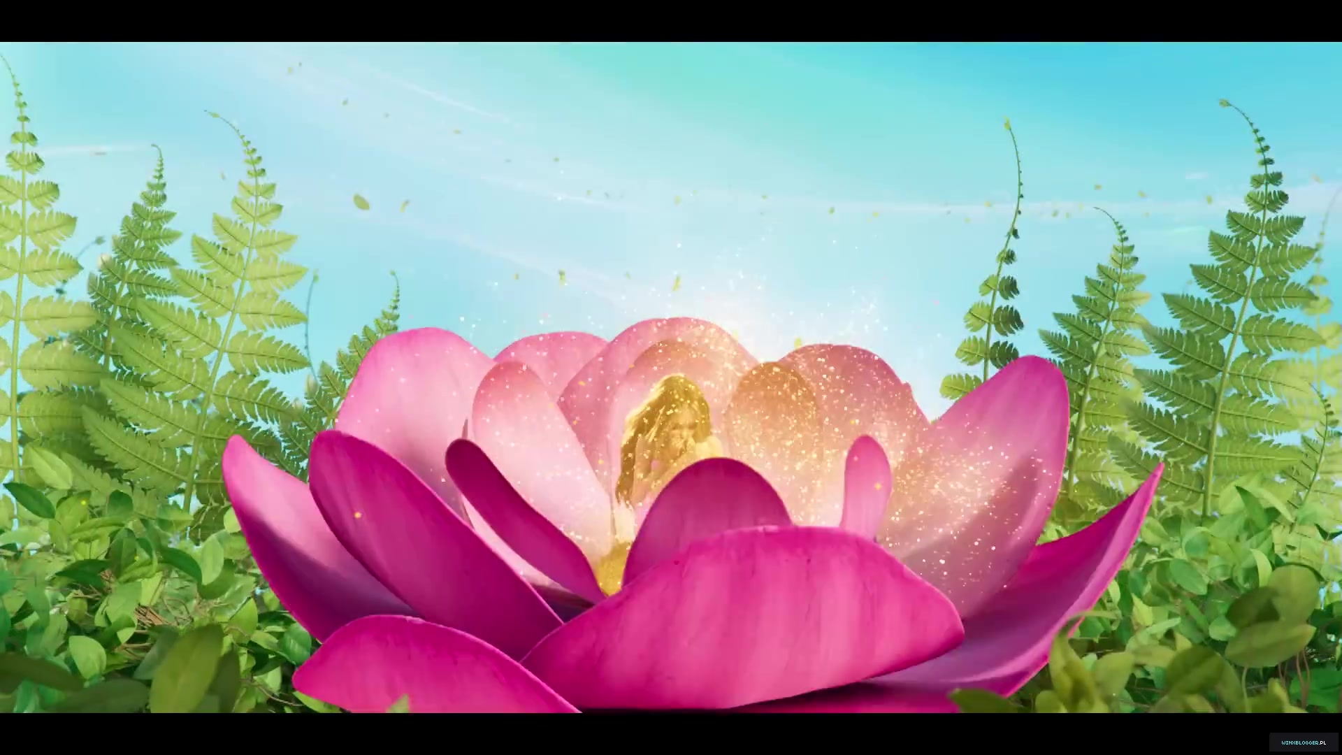 winxblogger_pl28016029.jpg