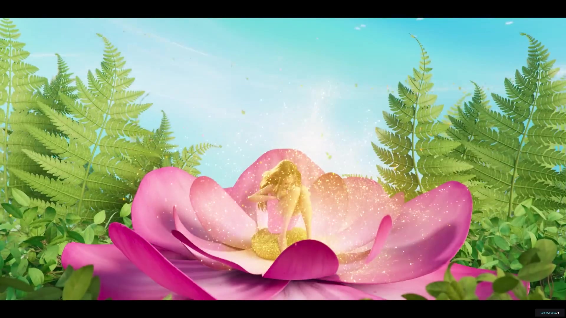 winxblogger_pl28016129.jpg