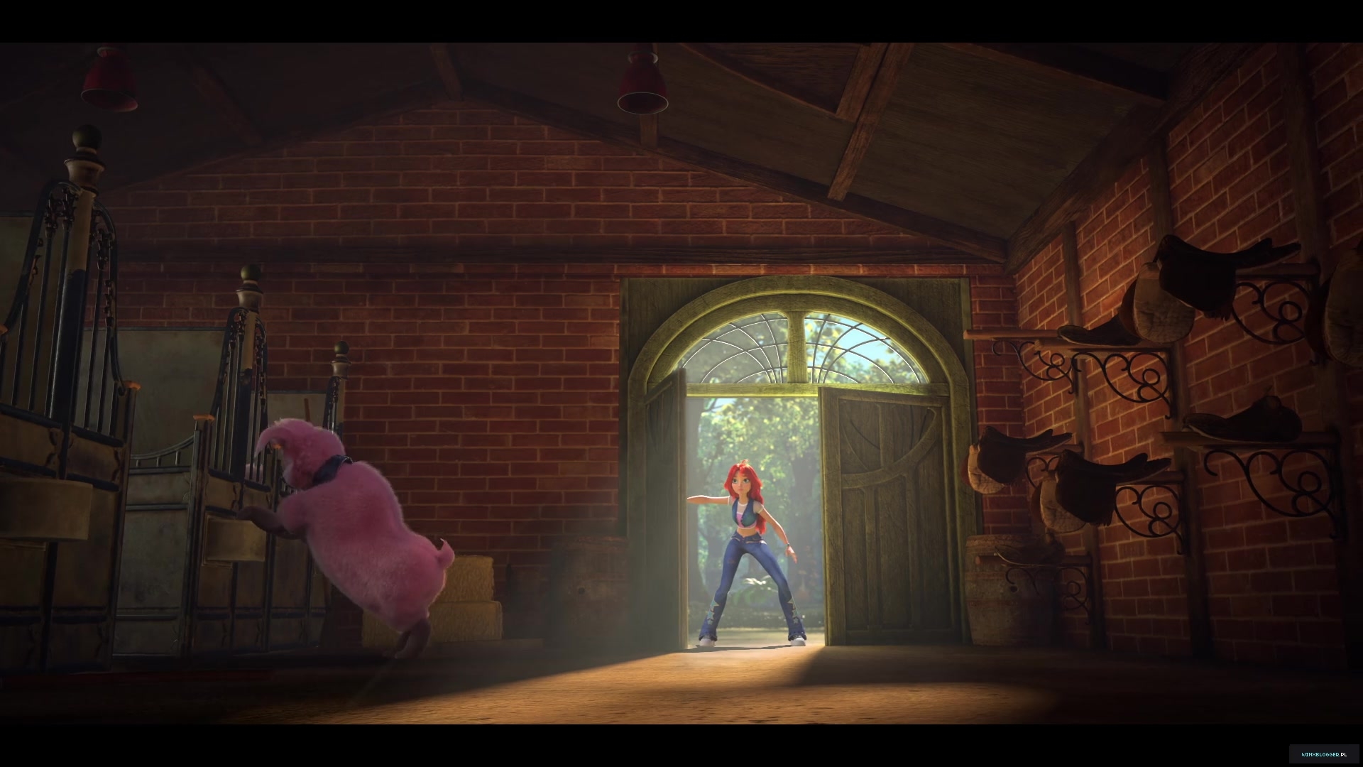 winxblogger_pl28017429~5.jpg