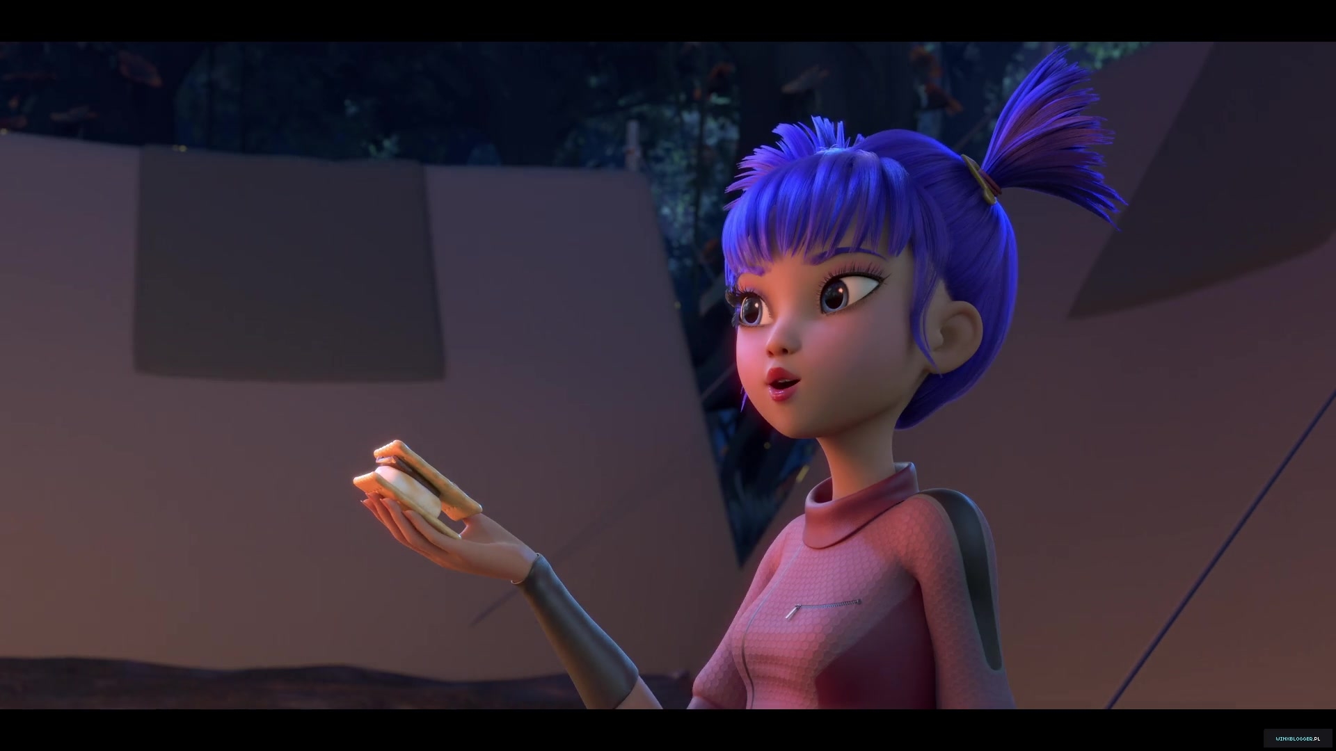 winxblogger_pl28018029~4.jpg