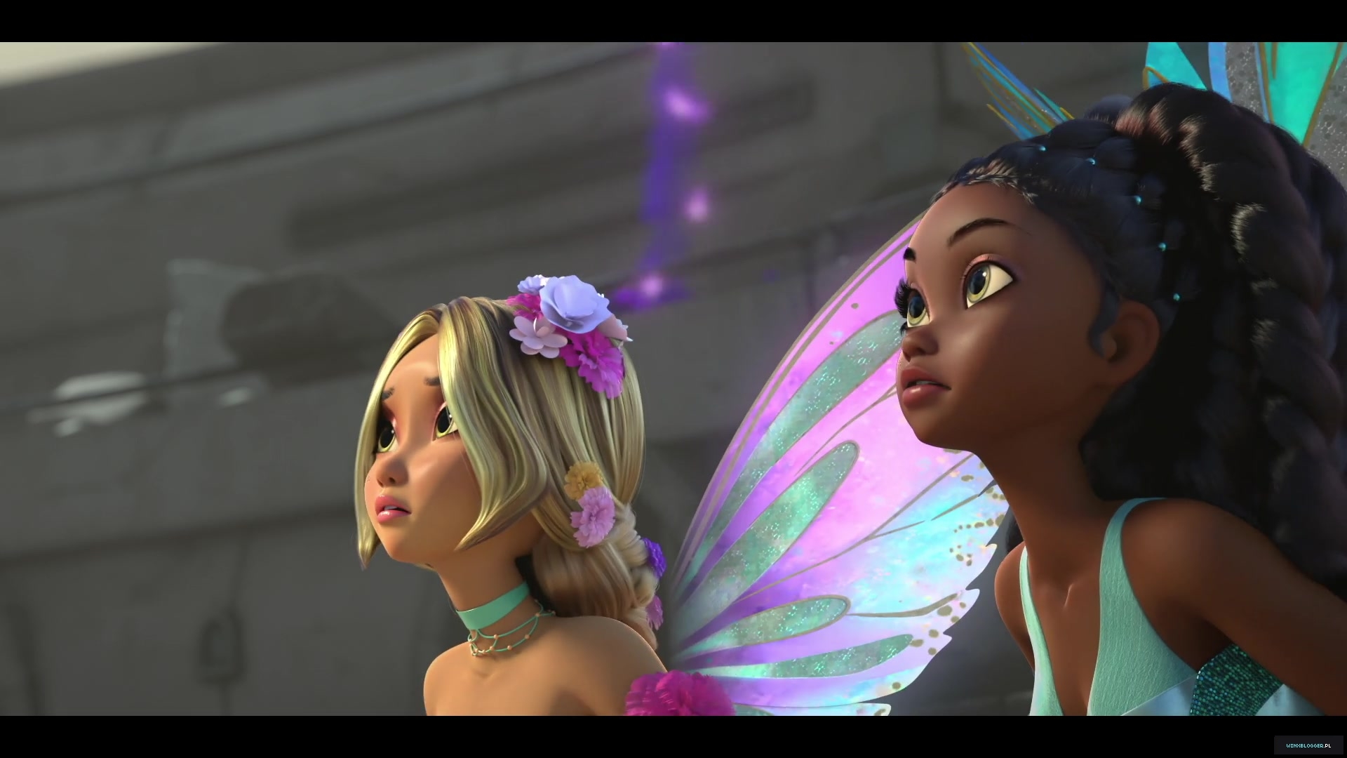 winxblogger_pl28020129~9.jpg