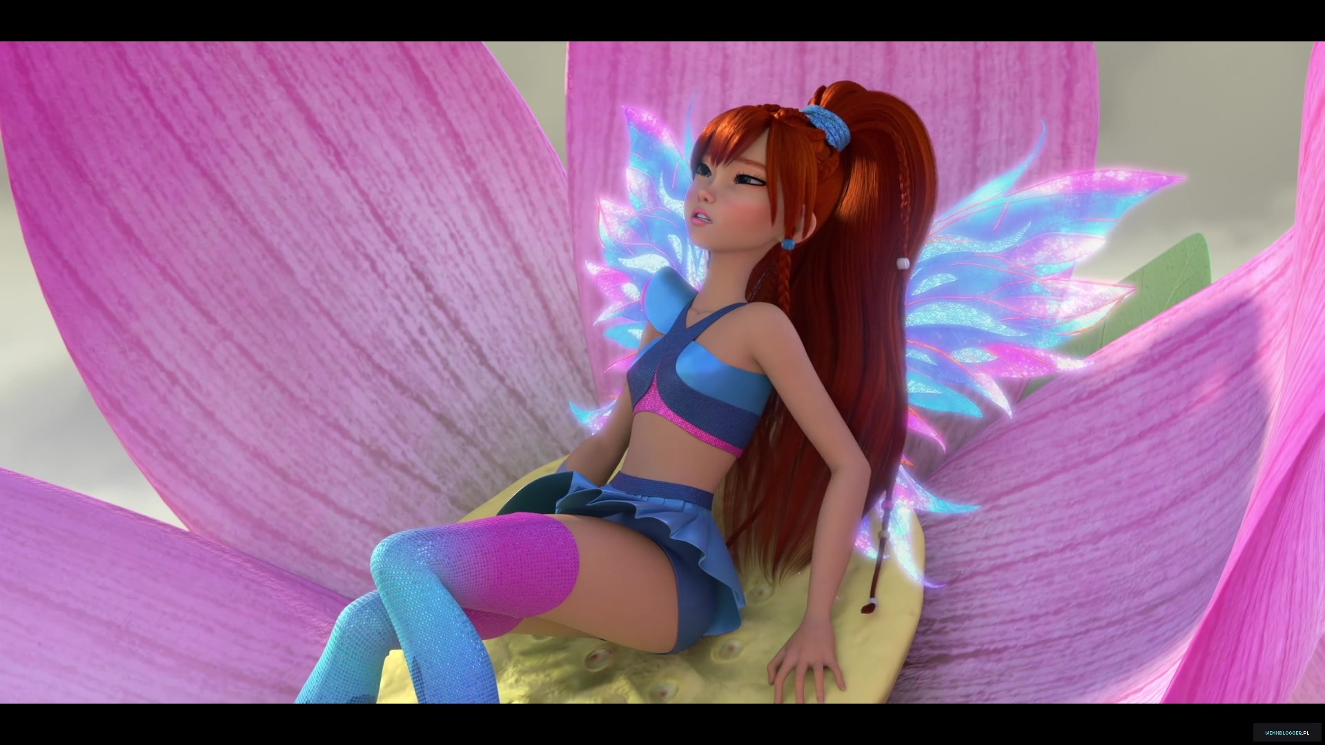winxblogger_pl28020329~9.jpg
