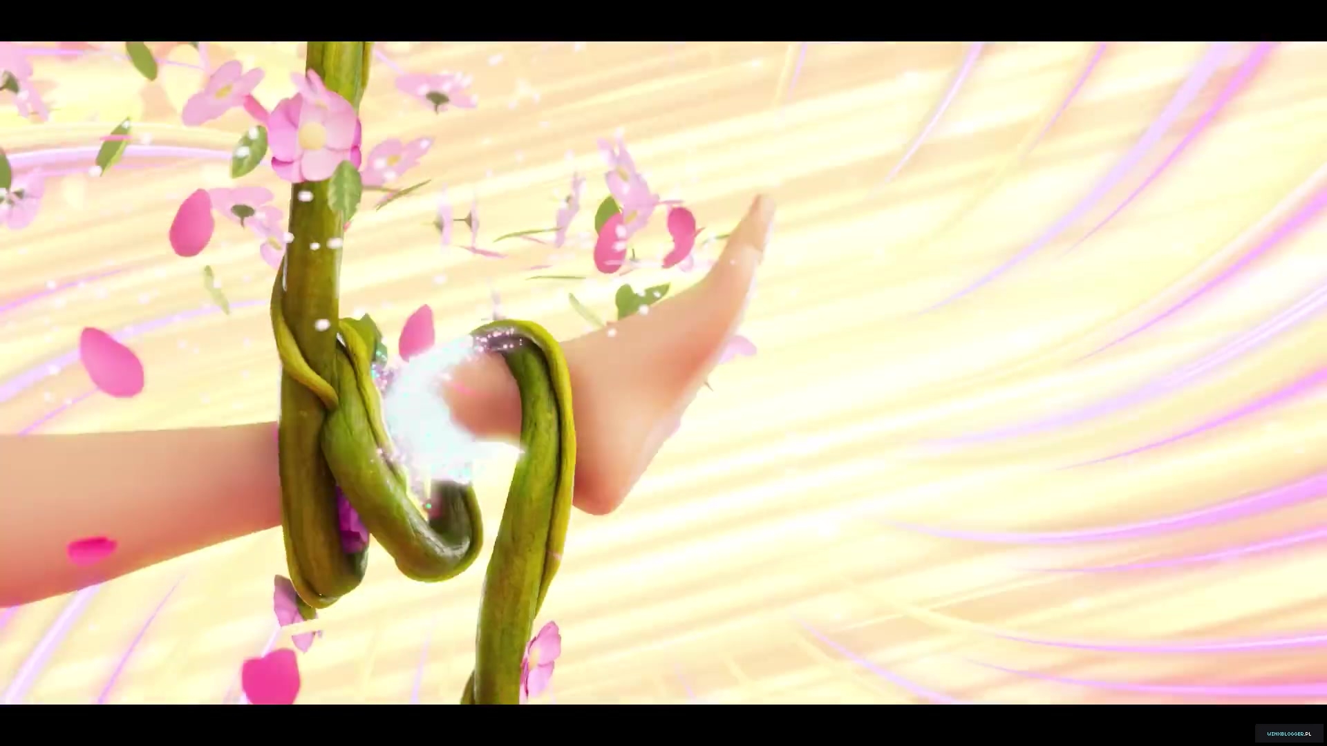 winxblogger_pl28020629.jpg