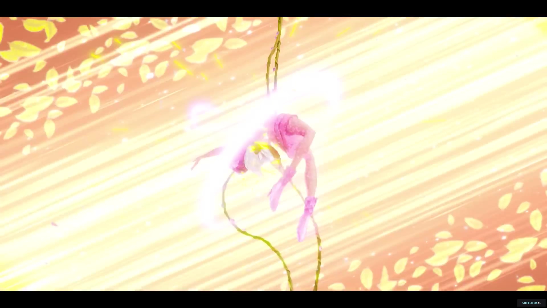 winxblogger_pl28023029.jpg