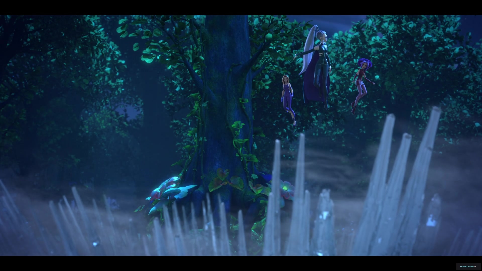 winxblogger_pl28036929~4.jpg