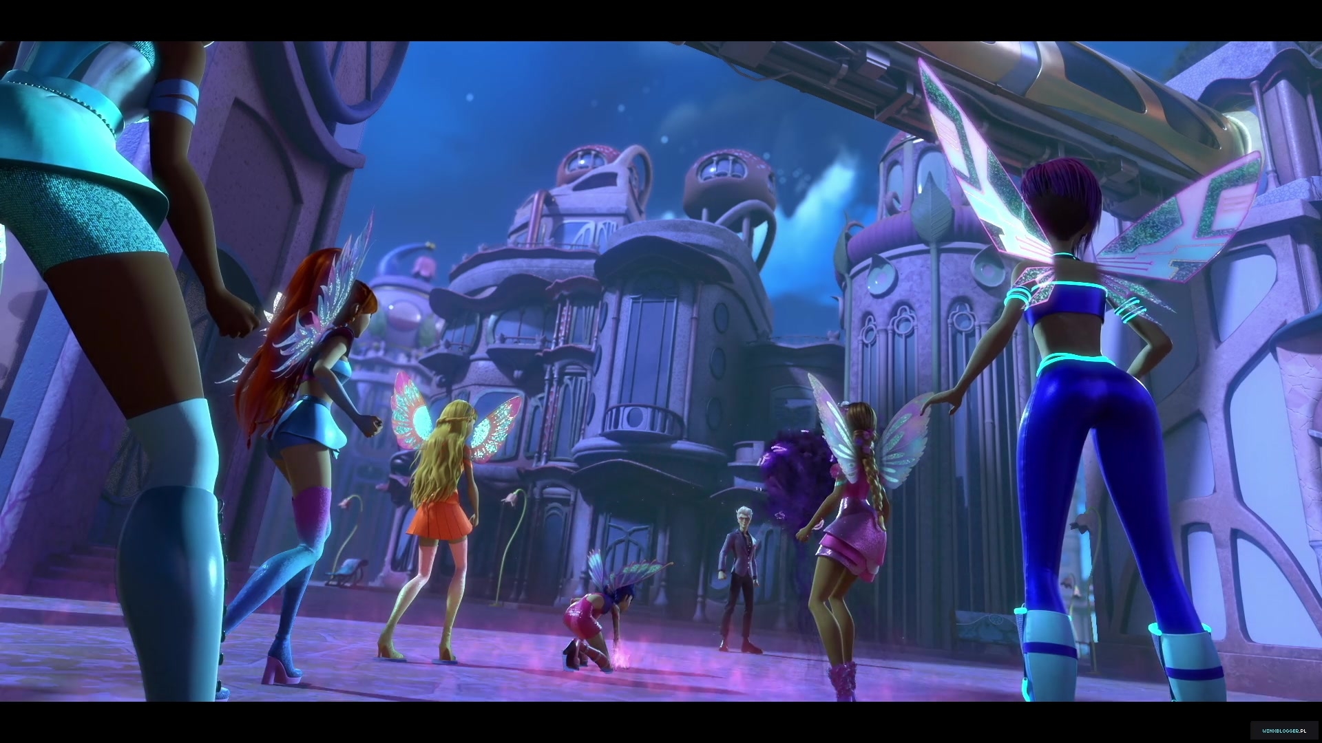winxblogger_pl28038429~6.jpg