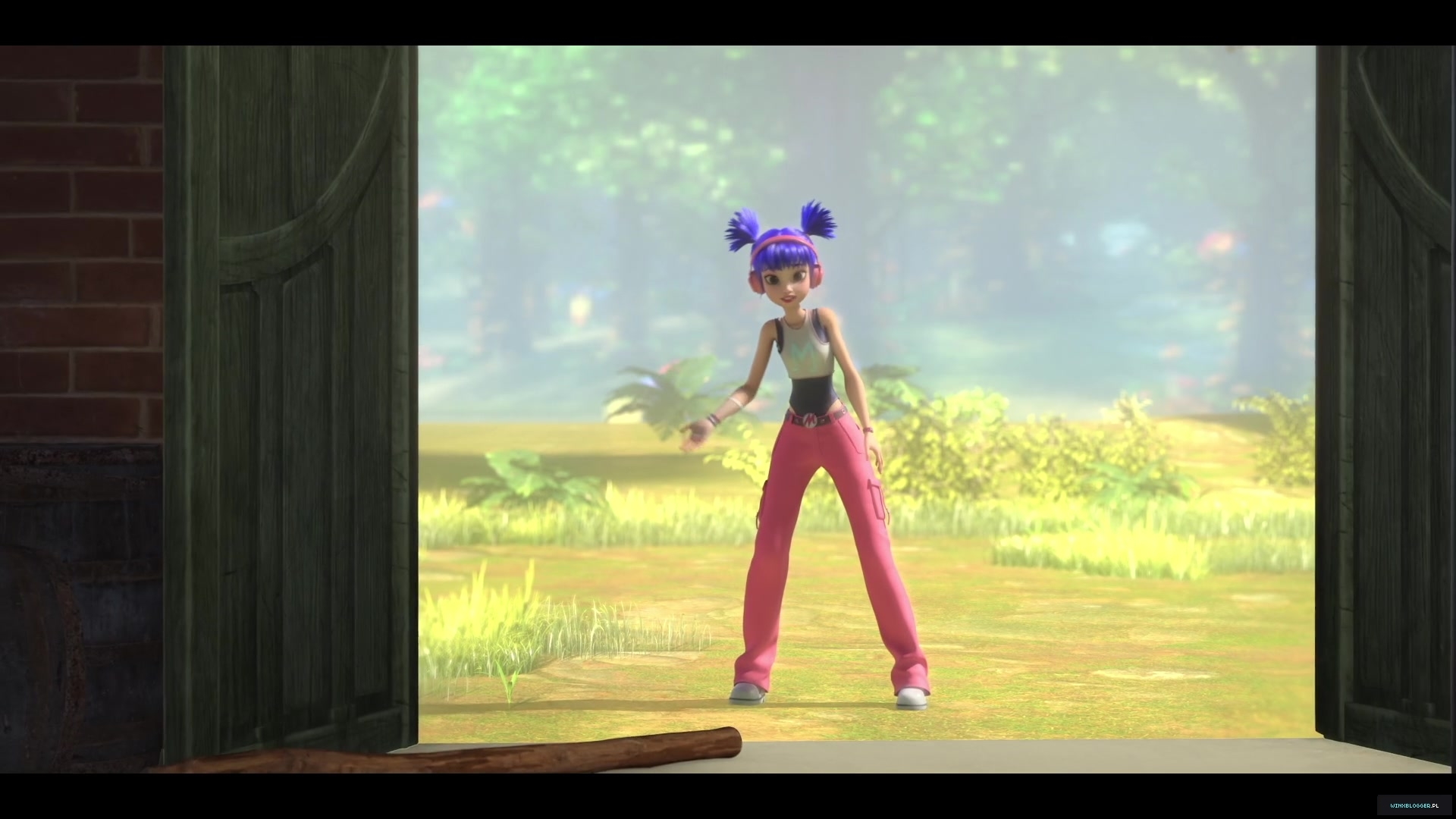 winxblogger_pl28052029~0.jpg